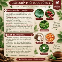 [ Túi zip ] Trà Tiêu Thực ( Tiêu Mỡ ) - Thanh nhẹ cơ thể - giảm tích trệ bụng, eo, giúp nhẹ bụng dễ tiêu 01 4