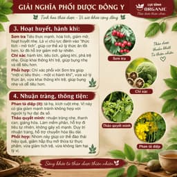 [ Túi zip ] Trà Tiêu Thực ( Tiêu Mỡ ) - Thanh nhẹ cơ thể - giảm tích trệ bụng, eo, giúp nhẹ bụng dễ tiêu 01 5