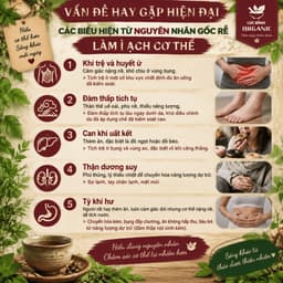 [ Túi zip ] Trà Tiêu Thực ( Tiêu Mỡ ) - Thanh nhẹ cơ thể - giảm tích trệ bụng, eo, giúp nhẹ bụng dễ tiêu 01 7