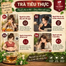 [ Túi zip ] Trà Tiêu Thực ( Tiêu Mỡ ) - Thanh nhẹ cơ thể - giảm tích trệ bụng, eo, giúp nhẹ bụng dễ tiêu 01 2