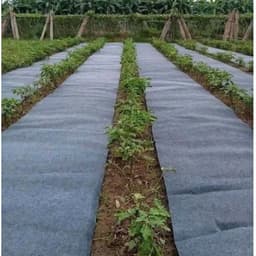 VẢI ĐỊA CHỐNG CỎ SIÊU THOÁT NƯỚC, ĐỘ DÀY 140G/M2 9