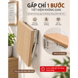 Bản Lề Gấp Inox Gắn Tường Bộ 2 Chiếc, Inox 304, Chịu Lực Tốt, Gấp Gọn Tiết Kiệm Diện Tích 3