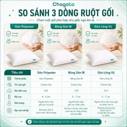 Combo Ruột Gối và Vỏ Gối Nằm Tencel 60s Chagota Bedding Size 45x65cm Sợi Gòn Lông Vũ Cao Cấp Vỏ Bọc Cotton Cao Cấp 9