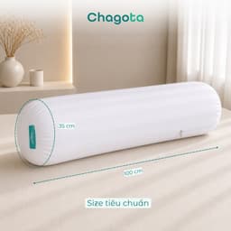 Combo Ruột Gối và Vỏ Gối Ôm Tencel 60s Chagota Bedding Size 35x100cm Sợi Gòn Lông Vũ Cao Cấp Vỏ Bọc Cotton Cao Cấp 4