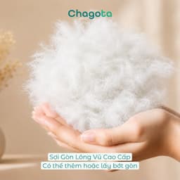 Combo Ruột Gối và Vỏ Gối Nằm Tencel 60s Chagota Bedding Size 45x65cm Sợi Gòn Lông Vũ Cao Cấp Vỏ Bọc Cotton Cao Cấp 6