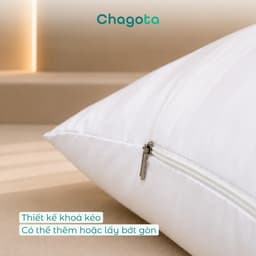 Combo Ruột Gối và Vỏ Gối Nằm Tencel 60s Chagota Bedding Size 45x65cm Sợi Gòn Lông Vũ Cao Cấp Vỏ Bọc Cotton Cao Cấp 4