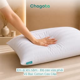 Combo Ruột Gối và Vỏ Gối Nằm Tencel 60s Chagota Bedding Size 45x65cm Sợi Gòn Lông Vũ Cao Cấp Vỏ Bọc Cotton Cao Cấp 5