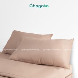 Combo Ruột Gối và Vỏ Gối Nằm Tencel 60s Chagota Bedding Size 45x65cm Sợi Gòn Lông Vũ Cao Cấp Vỏ Bọc Cotton Cao Cấp 8