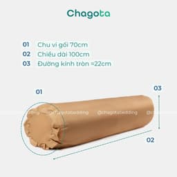 Combo Ruột Gối và Vỏ Gối Ôm Tencel 60s Chagota Bedding Size 35x100cm Sợi Gòn Lông Vũ Cao Cấp Vỏ Bọc Cotton Cao Cấp 2