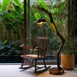 Đèn Cây Gỗ Lũa Tự Nhiên Kèm Dây Và Bóng – Đèn Đọc Sách, Đèn Trang Trí Phòng Trà 4