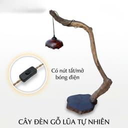 Đèn Cây Gỗ Lũa Tự Nhiên Kèm Dây Và Bóng – Đèn Đọc Sách, Đèn Trang Trí Phòng Trà 2