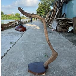Đèn Cây Gỗ Lũa Tự Nhiên Kèm Dây Và Bóng – Đèn Đọc Sách, Đèn Trang Trí Phòng Trà 6