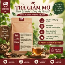 Trà Giảm Mỡ - Trà Tiêu Thực, Detox thải mỡ bụng, đùi giúp nhẹ người, điều chỉnh cân nặng. 1