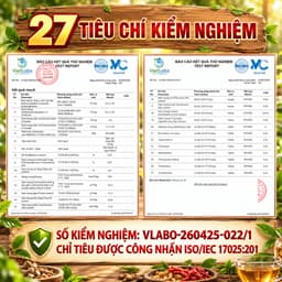 Trà Giảm Mỡ - Trà Tiêu Thực, Detox thải mỡ bụng, đùi giúp nhẹ người, điều chỉnh cân nặng. 6