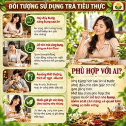 Trà Giảm Mỡ - Trà Tiêu Thực, Detox thải mỡ bụng, đùi giúp nhẹ người, điều chỉnh cân nặng. 2