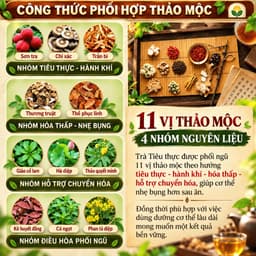 Trà Giảm Mỡ - Trà Tiêu Thực, Detox thải mỡ bụng, đùi giúp nhẹ người, điều chỉnh cân nặng. 3