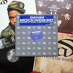 Tổng hợp đĩa than nhạc Rap, Snoop Dogg; Eminem... 1