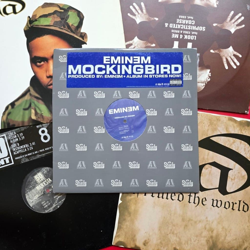 Tổng hợp đĩa than nhạc Rap, Snoop Dogg; Eminem...