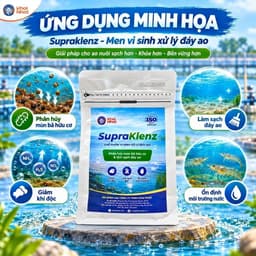 Men vi sinh xử lý đáy ao SupraKlenz Khai Nhật - Phân hủy mùn bã hữu cơ, Giảm khí độc NH3/H2S/NO2, Sạch đáy hiệu quả 2