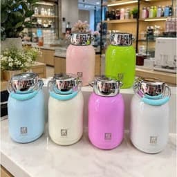 Bình giữ nhiệt mini cao cấp nắp gương 350ml và Họa Tiết Chim, Bướm, Cá 300ml/ Bình Giữ Nhiệt Bằng Thép Nhiều Màu. LMS 3