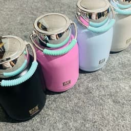 Bình giữ nhiệt mini cao cấp nắp gương 350ml và Họa Tiết Chim, Bướm, Cá 300ml/ Bình Giữ Nhiệt Bằng Thép Nhiều Màu. LMS 7