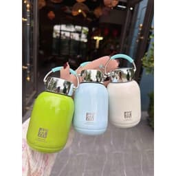 Bình giữ nhiệt mini cao cấp nắp gương 350ml và Họa Tiết Chim, Bướm, Cá 300ml/ Bình Giữ Nhiệt Bằng Thép Nhiều Màu. LMS 4