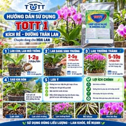 (Combo 2 Gói) Phân bón lan, Dưỡng Cây và Kích Ra Hoa, 36 tép 1 gói, TOTT's Fertilizer 2