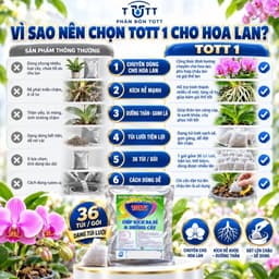 Phân bón lan, Dưỡng Cây và Kích Ra Hoa, gói 36 tép, TOTT's fertilizer 4