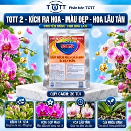 Phân bón lan, Dưỡng Cây và Kích Ra Hoa, gói 36 tép, TOTT's fertilizer 6