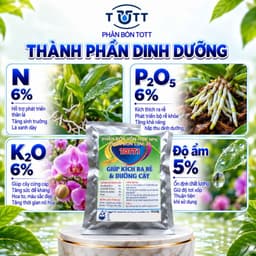 (Combo 2 Gói) Phân bón lan, Dưỡng Cây và Kích Ra Hoa, 36 tép 1 gói, TOTT's Fertilizer 5