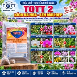 (Combo 2 Gói) Phân bón lan, Dưỡng Cây và Kích Ra Hoa, 36 tép 1 gói, TOTT's Fertilizer 4