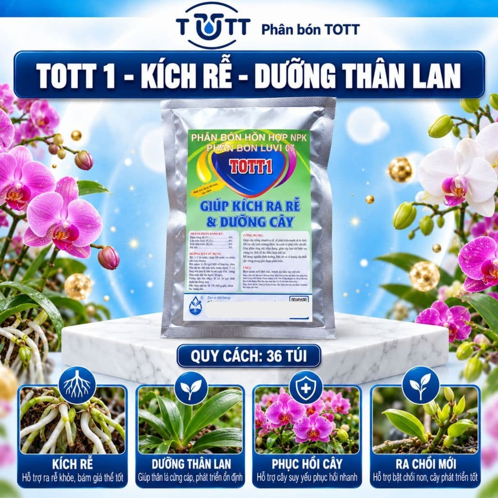 Phân bón lan, Dưỡng Cây và Kích Ra Hoa, gói 36 tép, TOTT's fertilizer