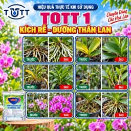 (Combo 2 Gói) Phân bón lan, Dưỡng Cây và Kích Ra Hoa, 36 tép 1 gói, TOTT's Fertilizer 3