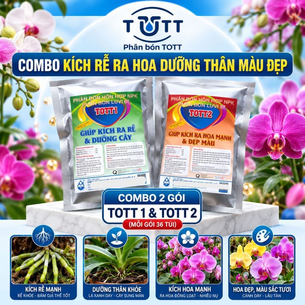(Combo 2 Gói) Phân bón lan, Dưỡng Cây và Kích Ra Hoa, 36 tép 1 gói, TOTT's Fertilizer