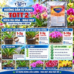 (Combo 2 Gói) Phân bón lan, Dưỡng Cây và Kích Ra Hoa, 36 tép 1 gói, TOTT's Fertilizer 6