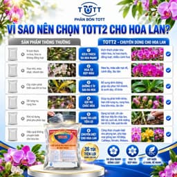 (Combo 2 Gói) Phân bón lan, Dưỡng Cây và Kích Ra Hoa, 36 tép 1 gói, TOTT's Fertilizer 7