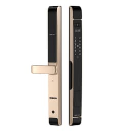 Khóa điện tử Face ID Nhận diện khuôn mặt cho cửa nhôm Xingfa có vân tay App TTLOCK chống nước mưa ngoài trời D20 D30 1