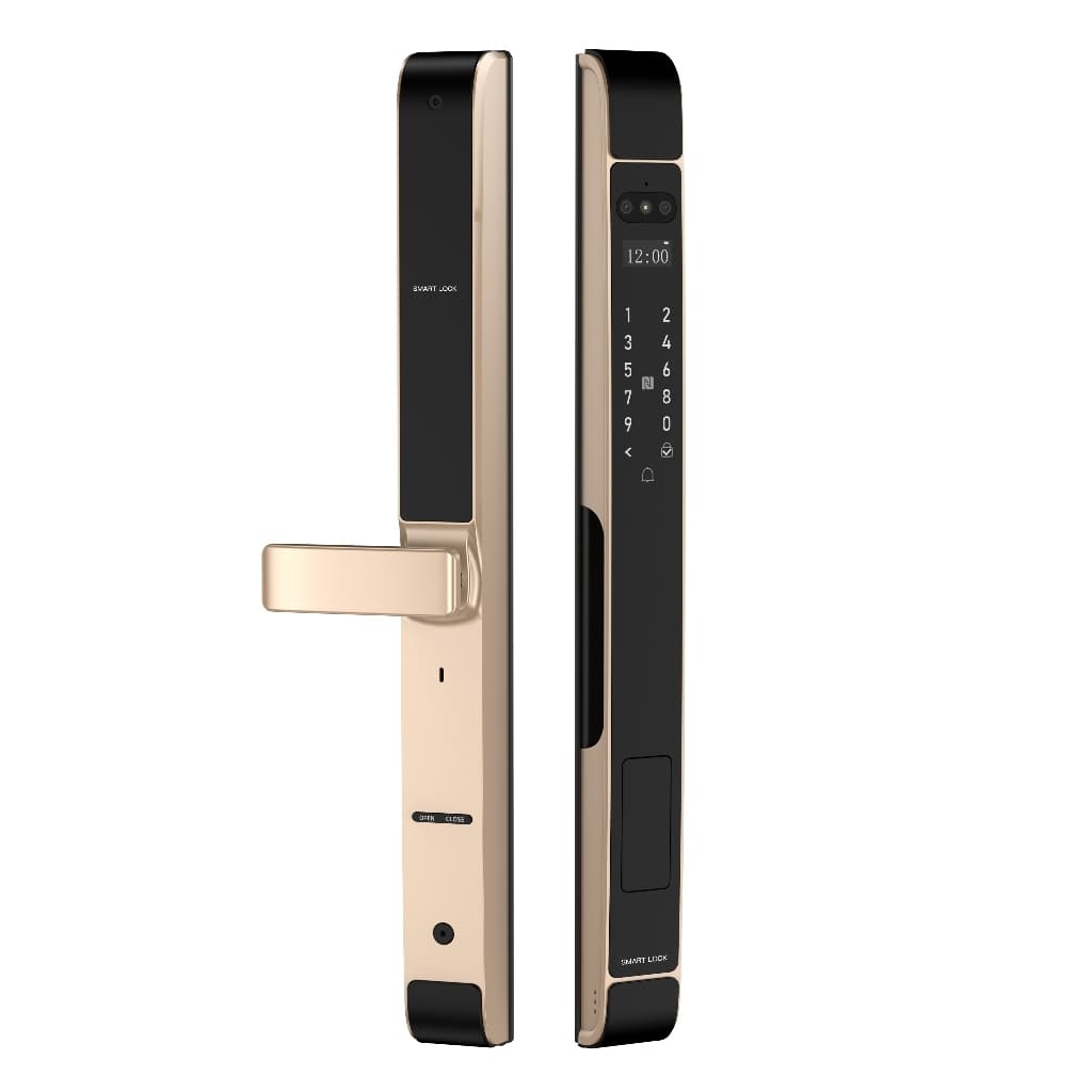 Khóa điện tử Face ID Nhận diện khuôn mặt cho cửa nhôm Xingfa có vân tay App TTLOCK chống nước mưa ngoài trời D20 D30