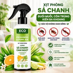 Xịt phòng tinh dầu thơm phòng cao cấp 250ml giúp khử mùi, làm thơm không gian nhanh chóng 4