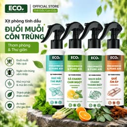 Xịt phòng tinh dầu thơm phòng cao cấp 250ml giúp khử mùi, làm thơm không gian nhanh chóng 3