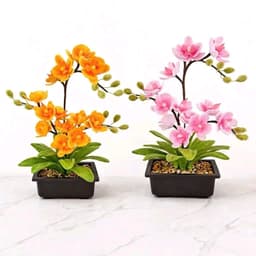 Kẽm cành bọc nhựa 30-40cm 7