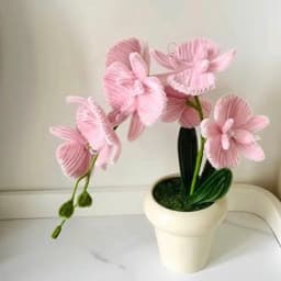 Kẽm cành bọc nhựa 30-40cm 8