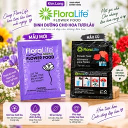Gói Thuốc LORALIFE Mỹ - Dưỡng Hoa Lâu Tàn, Không Hôi Nước 3