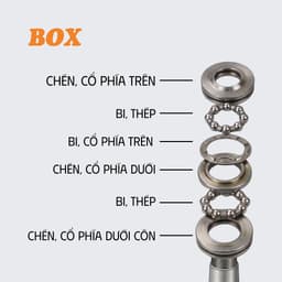 Bát Phốt Sonic, chén cổ Sonic Box Bearings Cao Cấp 6 chi tiết 5