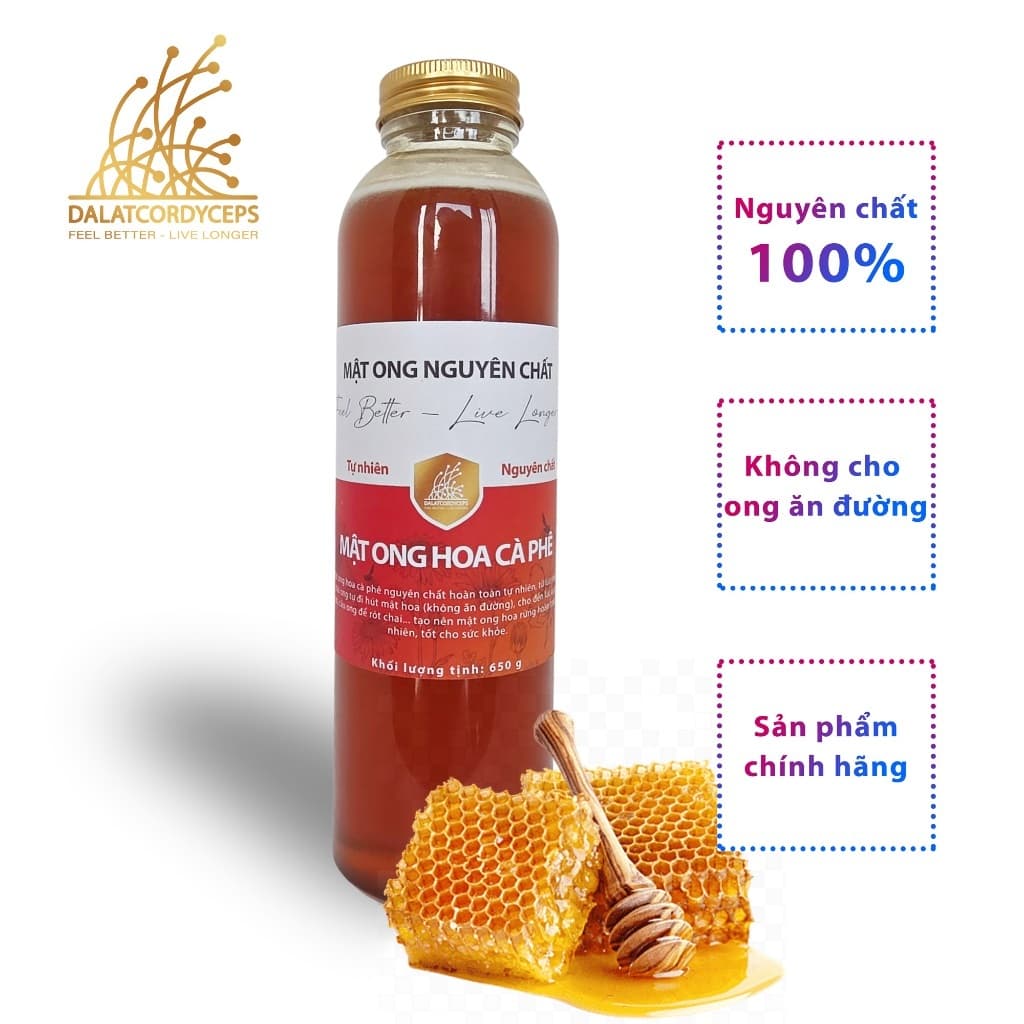 Mật ong hoa cà phê nguyên chất - Dalat Cordyceps - 650 g