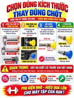 Chốt rút M20 (kèm áo) cho máy tập gym 7