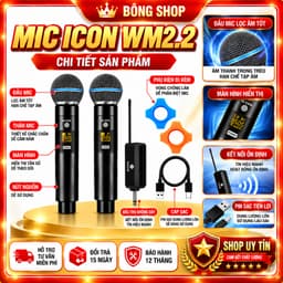 Micro Không Dây ICON WM2.2 2 Mic Cầm Tay Hát Karaoke Livestream Thu Âm Kết Nối Ổn Định 3