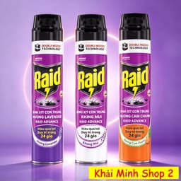 Bình Xịt Côn Trùng RAID 520ml Chính Hãng – Diệt Muỗi, Kiến, Ruồi, Gián – 3 Mùi Hương 1