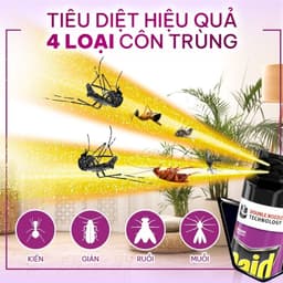 Bình Xịt Côn Trùng RAID 520ml Chính Hãng – Diệt Muỗi, Kiến, Ruồi, Gián – 3 Mùi Hương 6