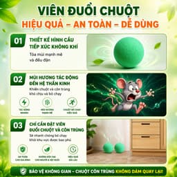 Gói 10 Viên Đuổi Chuột Thảo Mộc Dạng Nén và Bẫy Chuột Thông Minh Dạng Kẹp. LMS 3
